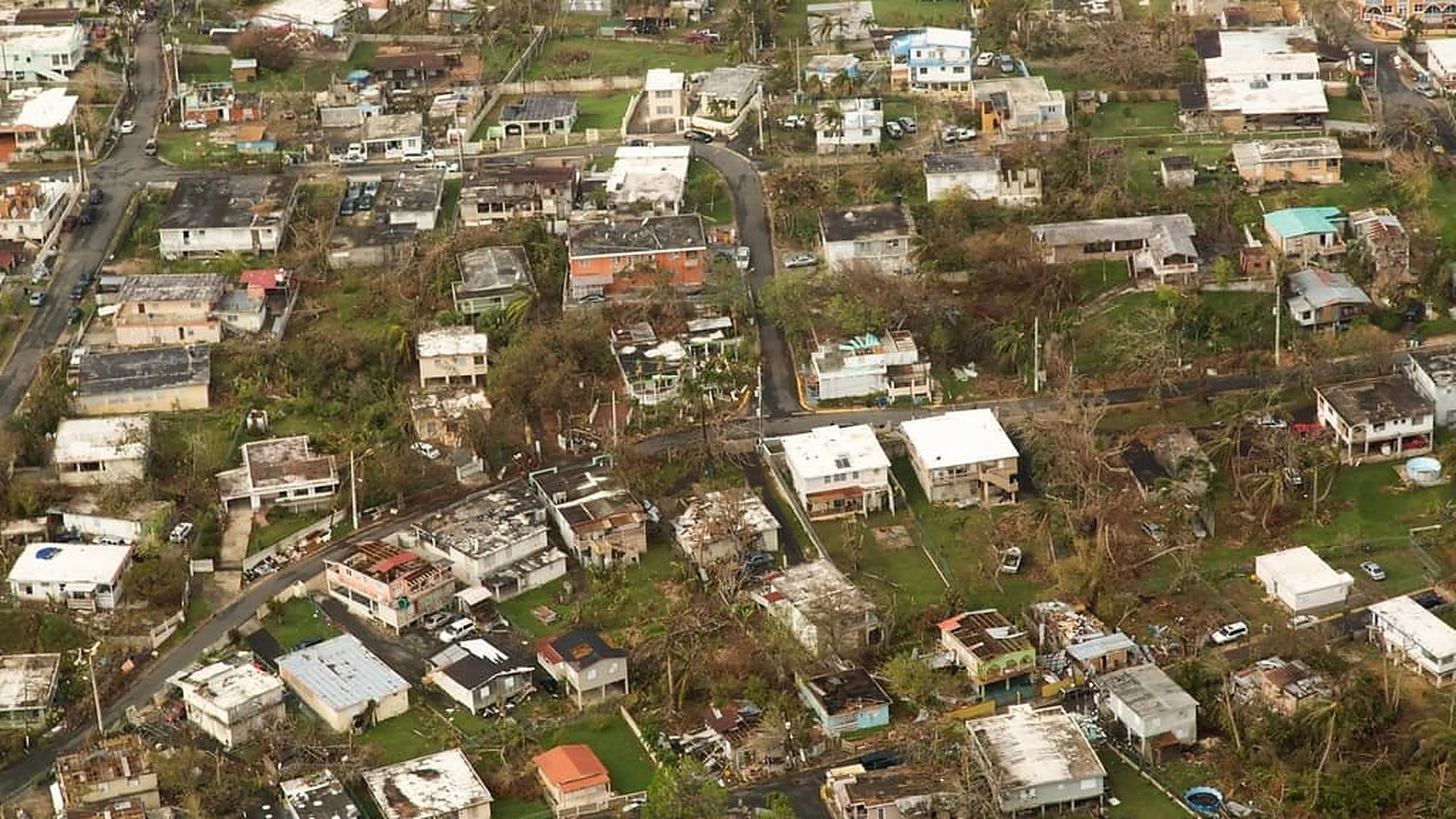 Aerial view of a hillside residential district with roofs stripped by a hurricane.